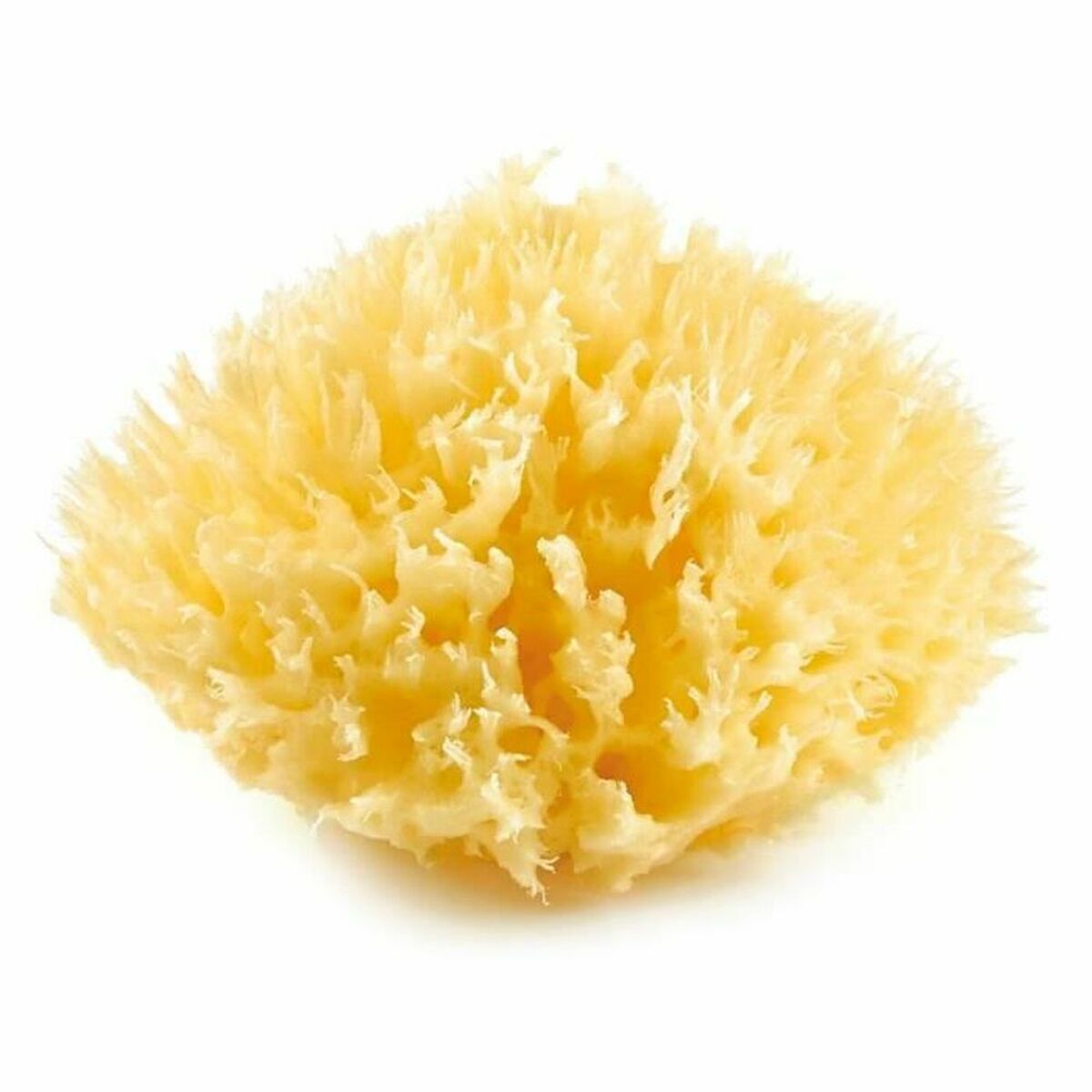 Body Sponge ThermoBaby Yellow