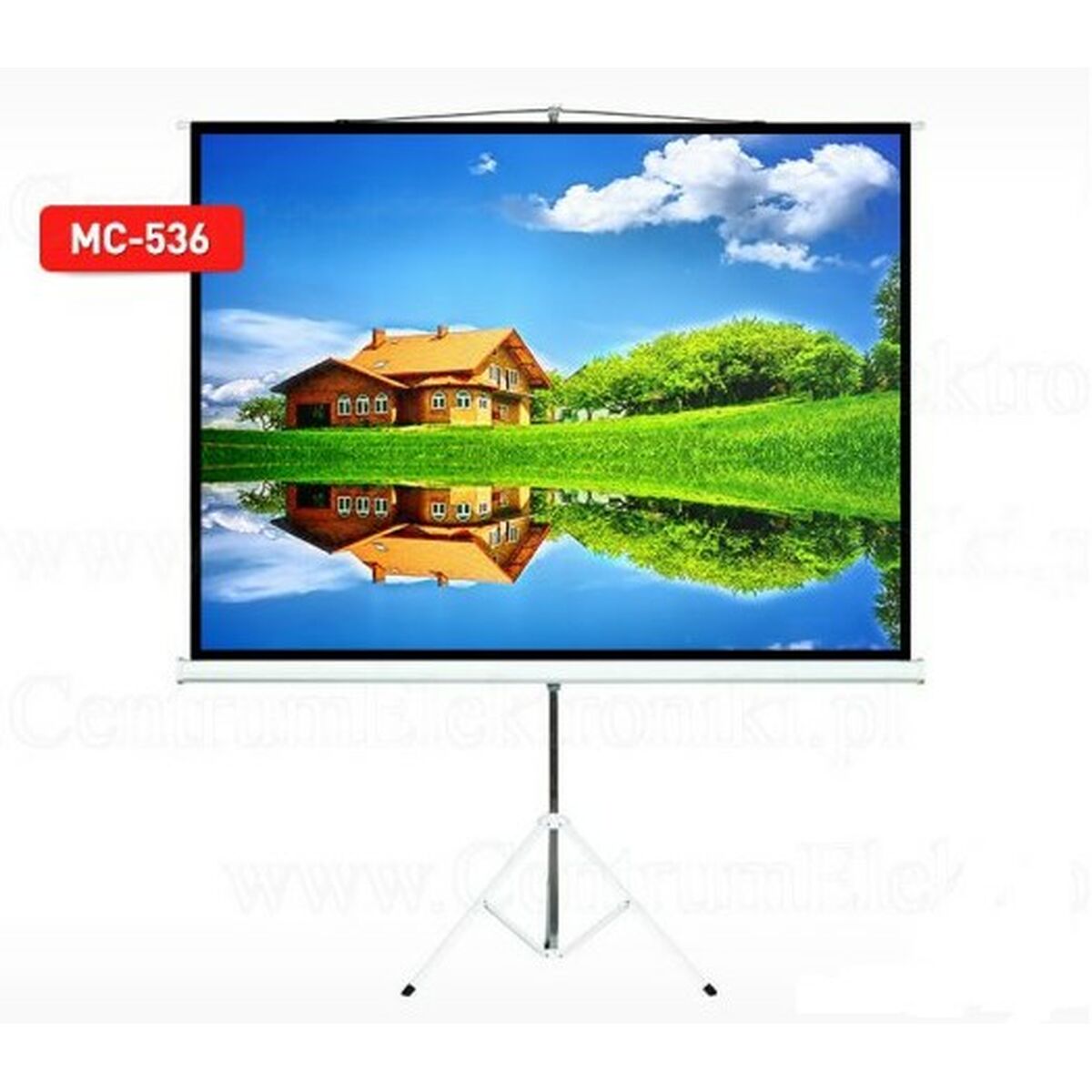 Écran de Projection pour Ordinateur MacLean MC-536 72"