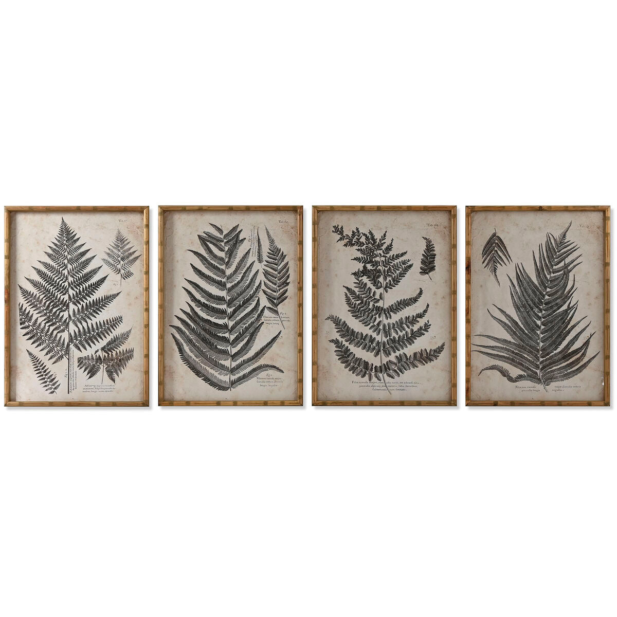 Cadre Home ESPRIT Verre Sapin 50 x 3 x 70 cm 50 x 2,5 x 70 cm