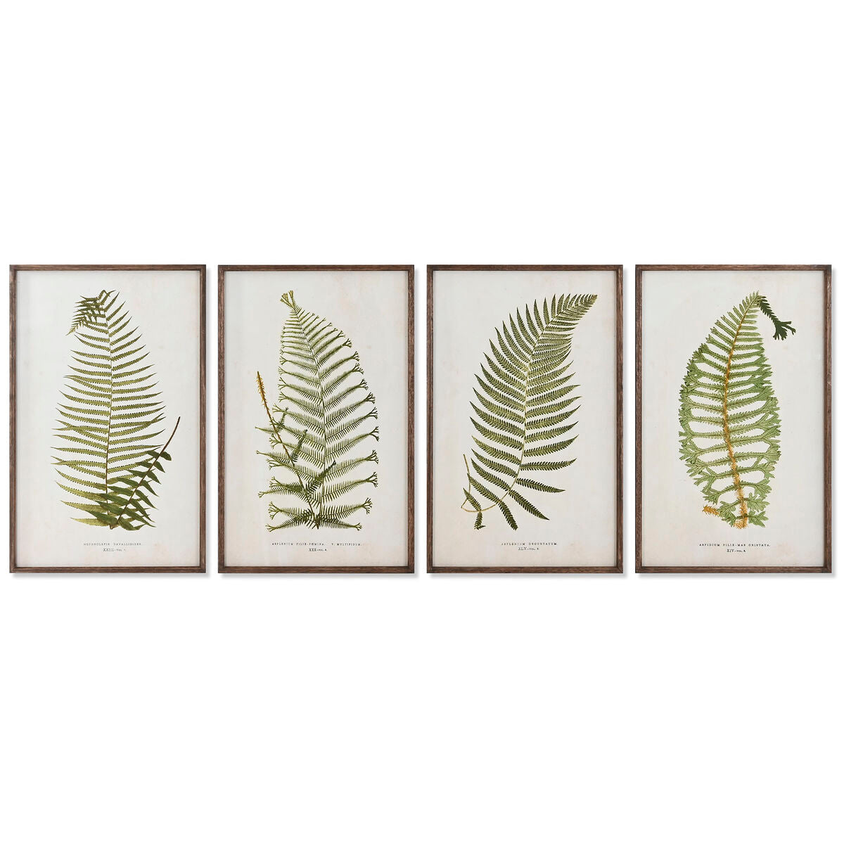 Cadre Home ESPRIT Verre Sapin 45 x 2,5 x 70 cm
