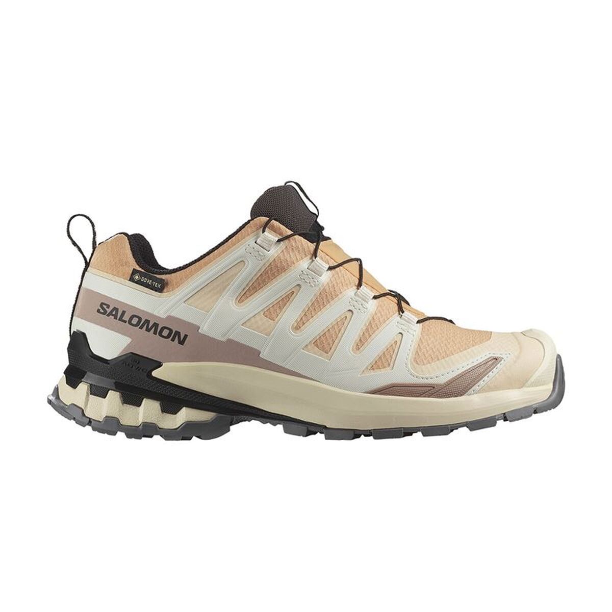 Chaussures de trail pour femmes Salomon XA Pro 3 V9 GTX Marron Clair