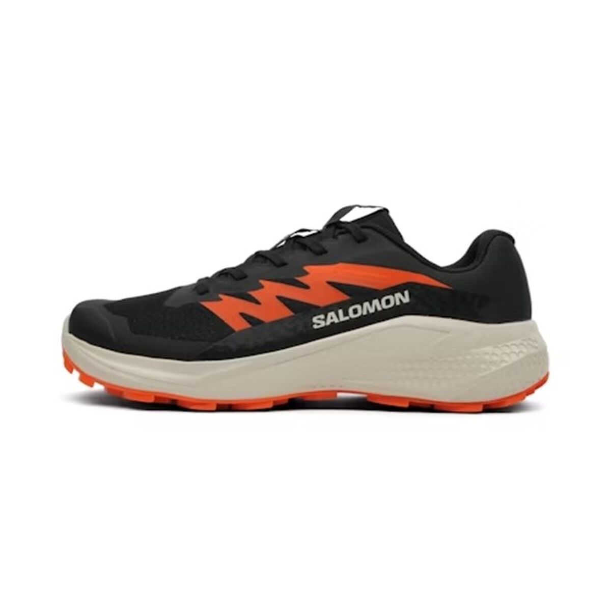 Chaussures de trail pour homme (course en montagne) Salomon Alphaglide Noir