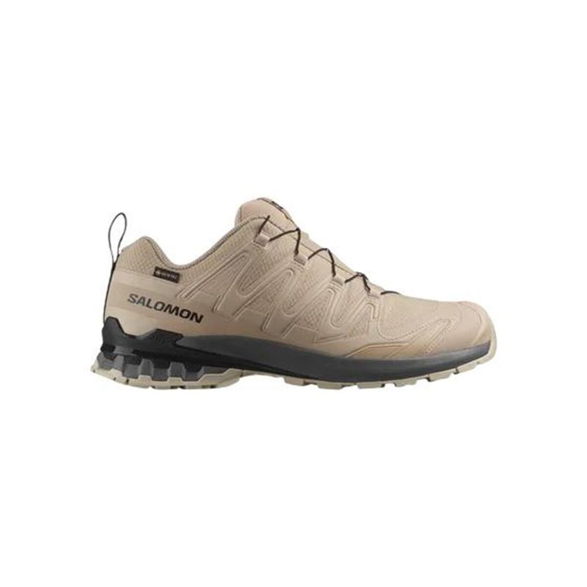 Chaussures de trail pour homme (course en montagne) Salomon Xa Pro 3D V9 Gtx Marron