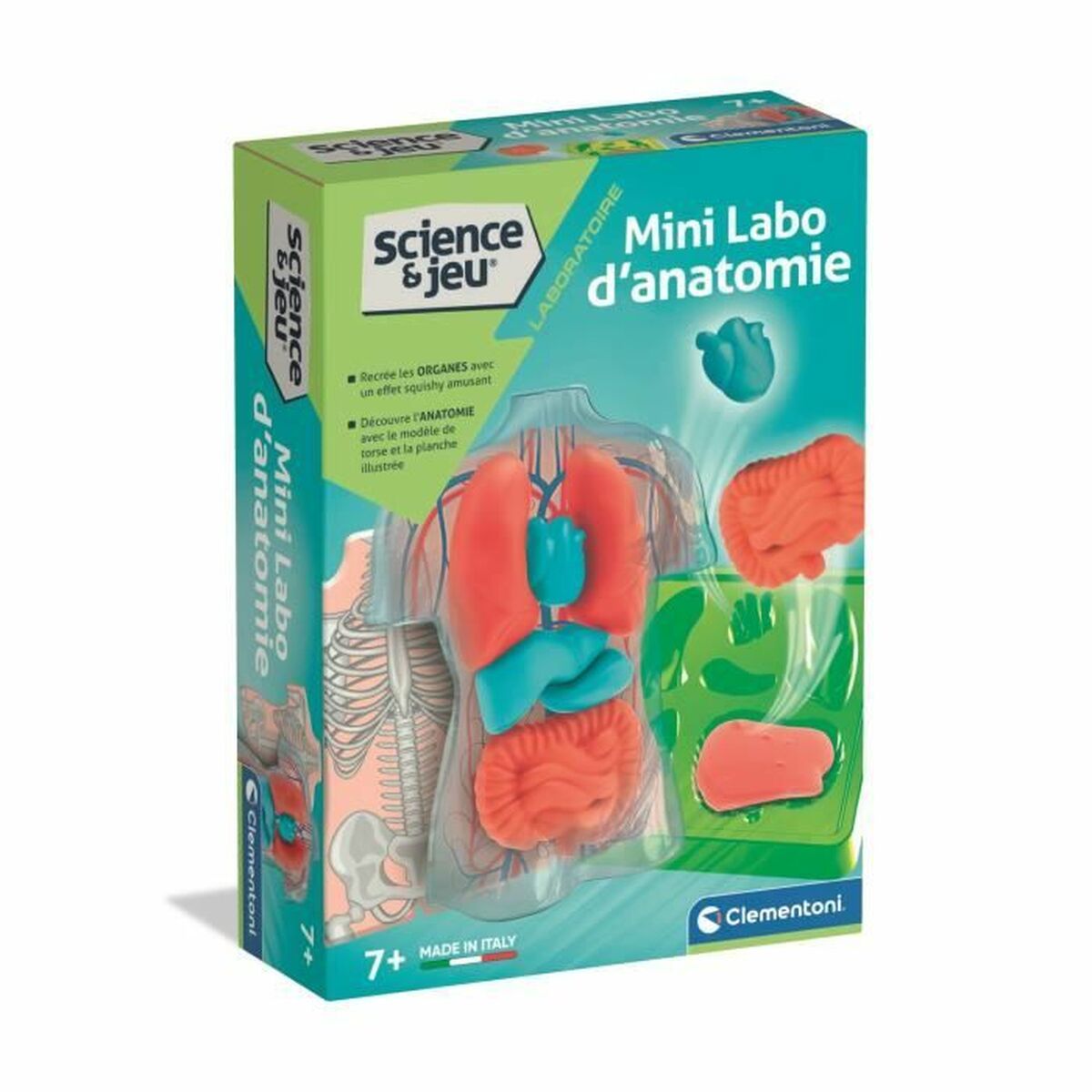 Interactive Toy for Babies Clementoni