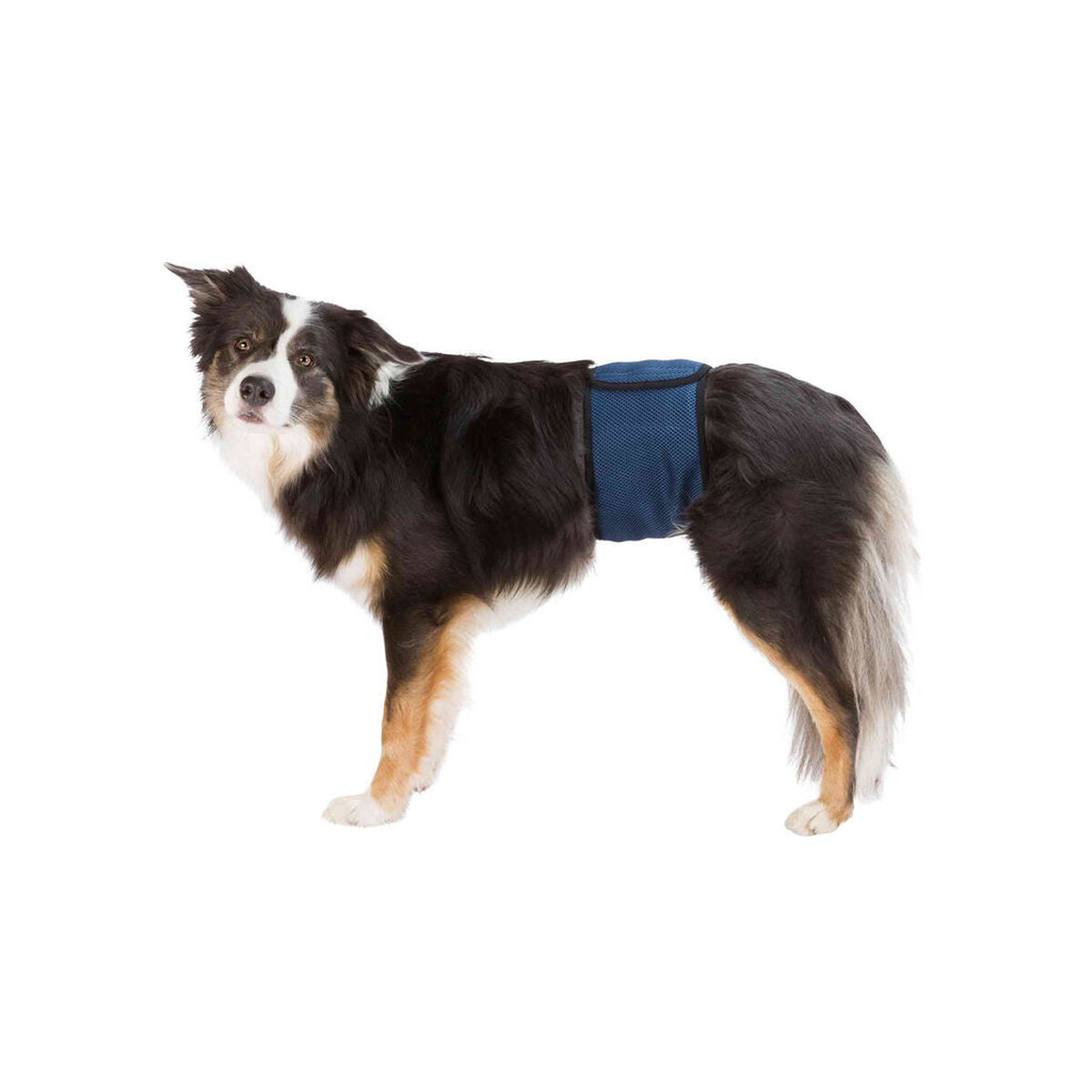 Protecteur pour Incontinence Trixie Prise Mâle Abdomen