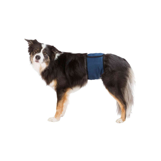 Protecteur pour Incontinence Trixie Prise Mâle Abdomen