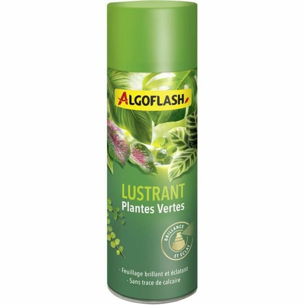 Engrais pour Plantes Algoflash 250 ml