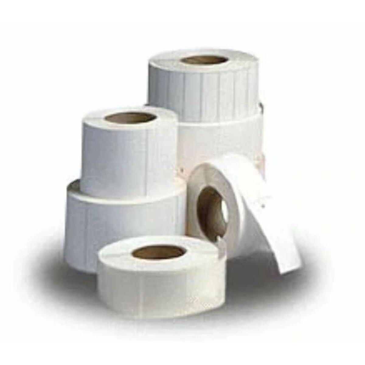 Etiquettes pour Imprimante Zebra 3007205-T Blanc (4 Unités) (Reconditionné B)