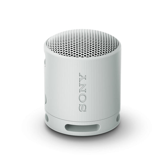 Haut-parleurs bluetooth portables Sony SRSXB100H.CE7 Gris